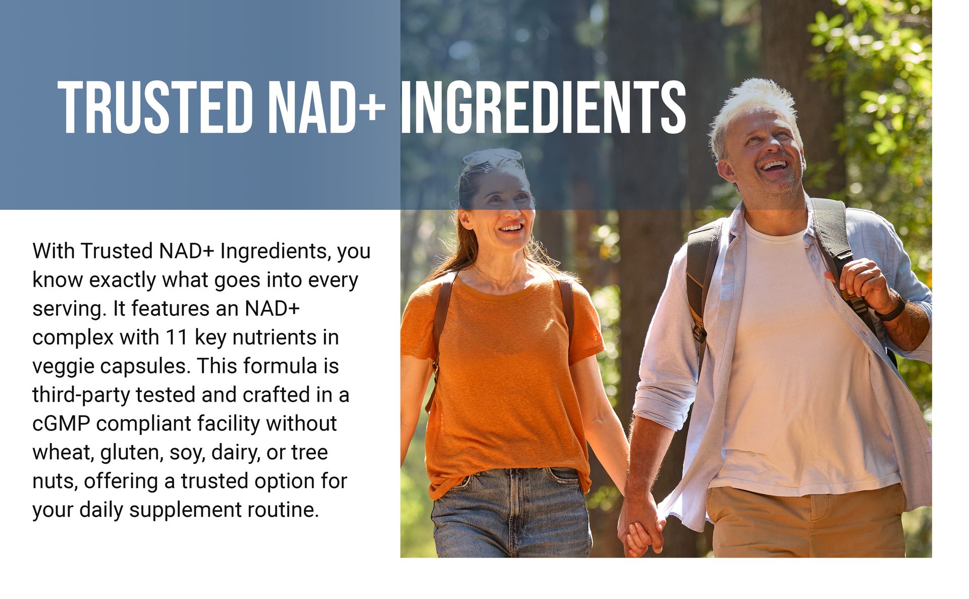 NatureBell NAD+ 11-in-1 Complex 1,500 mg** Per Serving, 240 Veggie Capsules | NMN Supplement Alternative | NAD with Resveratrol, CoQ10, Hyaluronic Acid, Fisetin, & More – Non-GMO