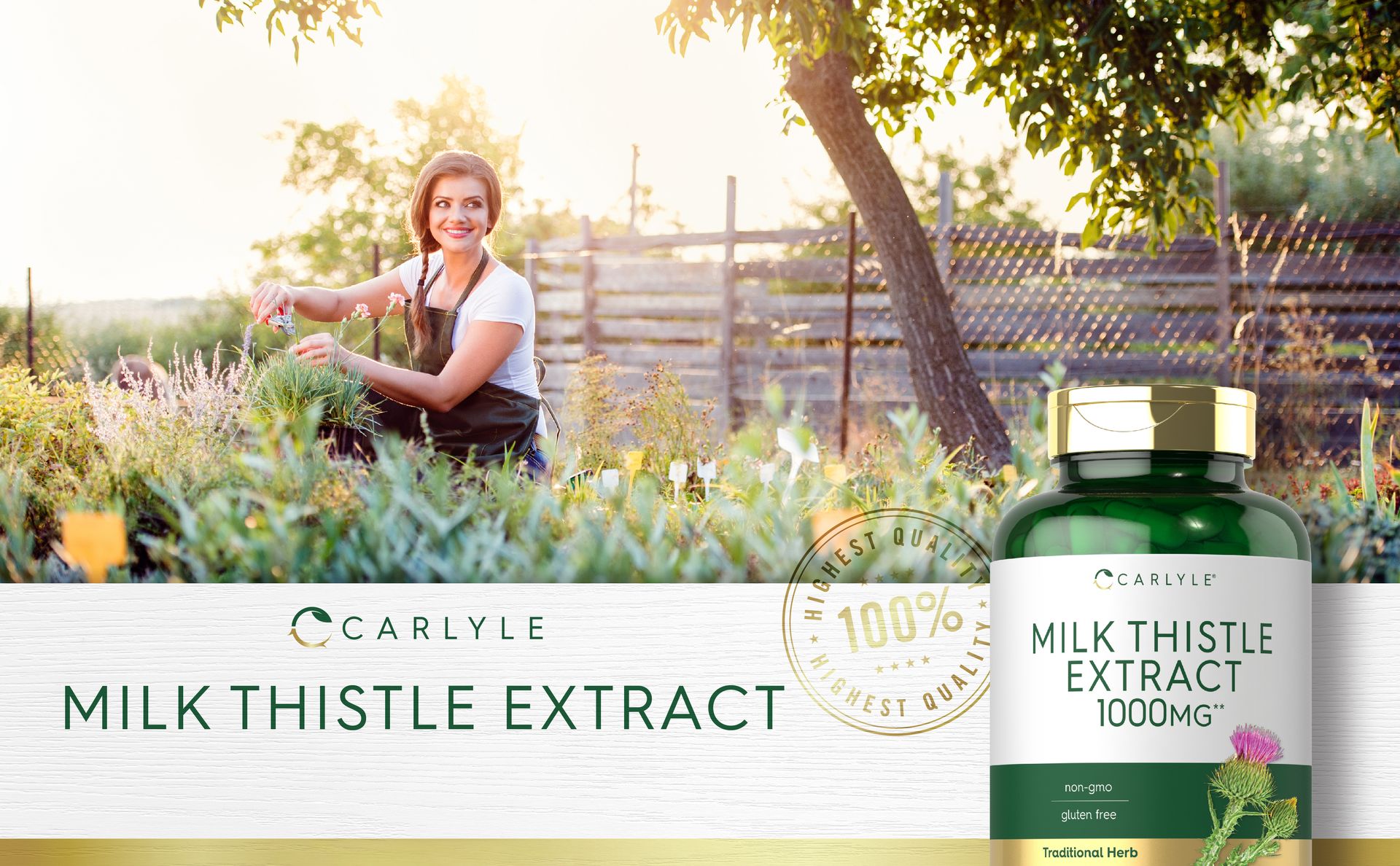 Carlyle Milk Thistle | 300 Capsules | Non-GMO, Gluten Free Extract
