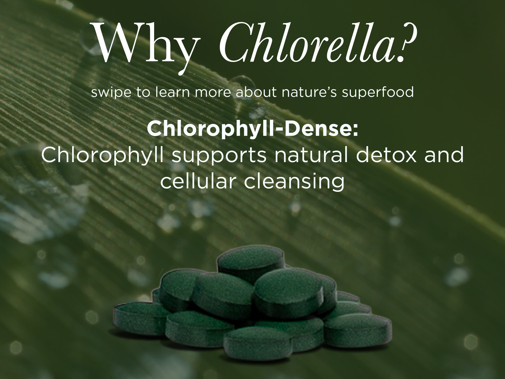RECOVERYbits - Organic Chlorella Tablets - Plant-Based Algae Superfood - Chlorophyll - Cracked Cell Wall - Energy - Immune System - Detox - Keto - Vegan - Non-GMO - Box of 30 Pouches - 900 Tablets