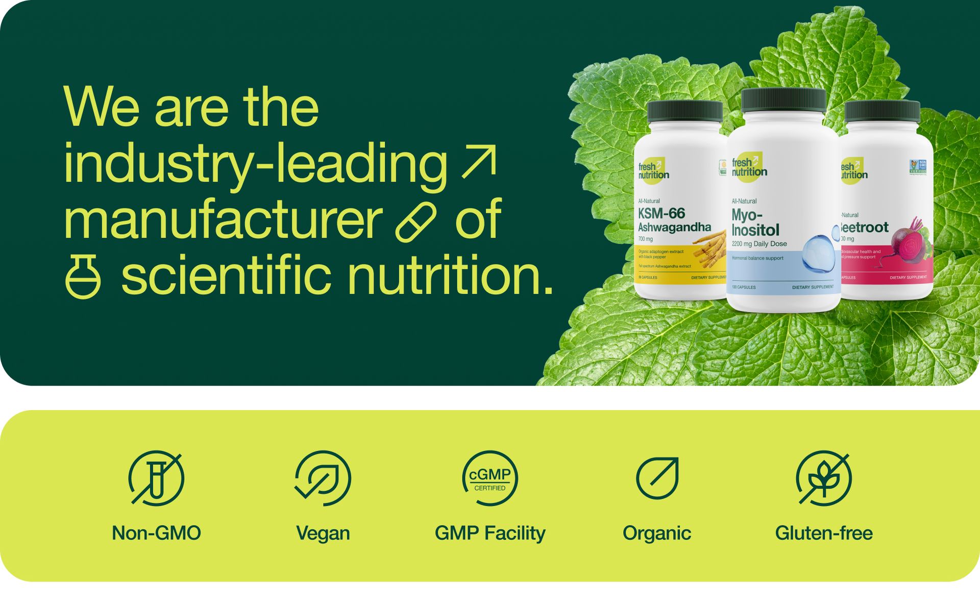 L Methylfolate 15mg - Maximum Potency - Active Vitamin B9 Superior Bioavailability - 5-MTHF Methyl Folate for Mood, Cognition, Immunity, Cardiovascular, Neurological, Reproductive Health - 60 Capsules
