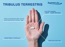 superior-labs-tribulus-terrestris-perfor-6.jpg