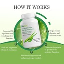 aloecure-organic-aloe-vera-capsules-2-pa-3.jpg