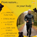 siraj-organic-black-seed-oil-gummies-who-4.jpg