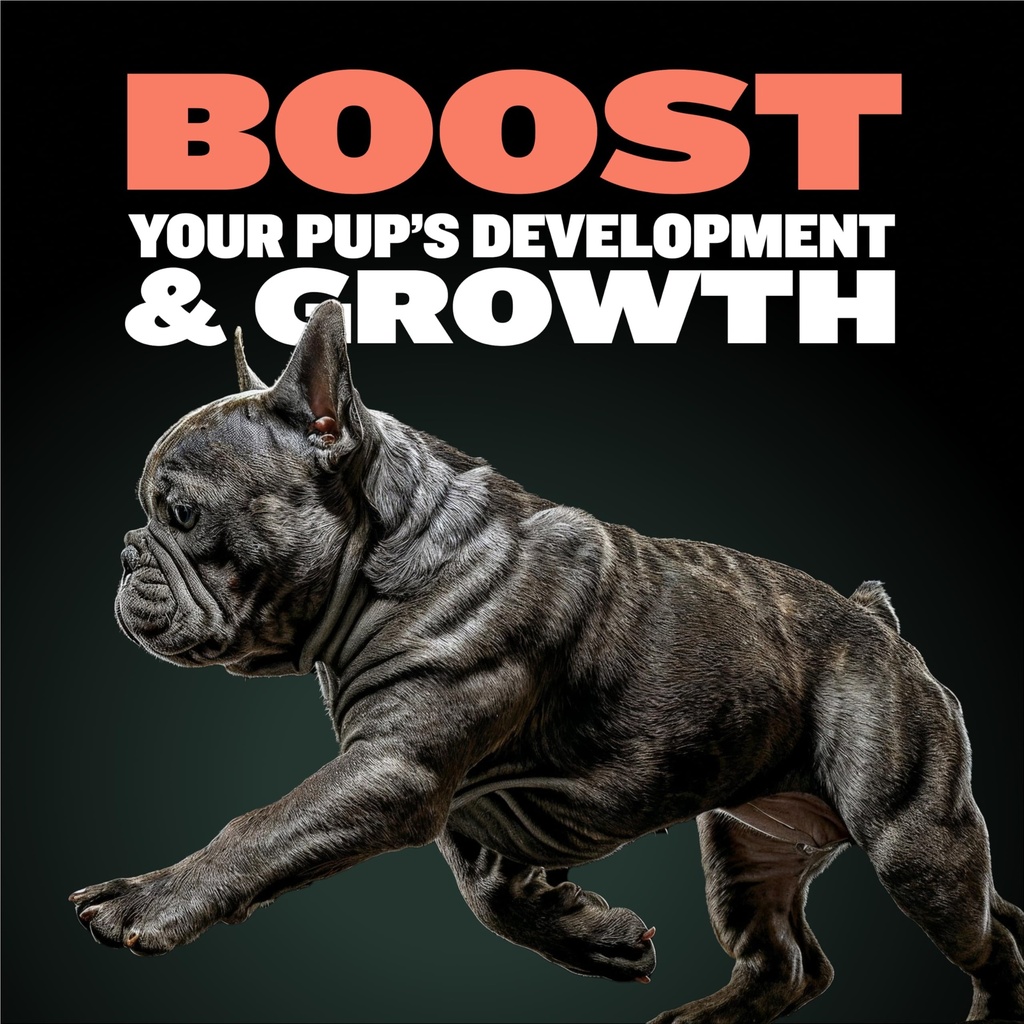 bully-max-2-in-1-puppy-vitamins-30-chewa-3.jpg