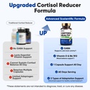 fidus-cortisol-health-cortisol-balance-f-5.jpg