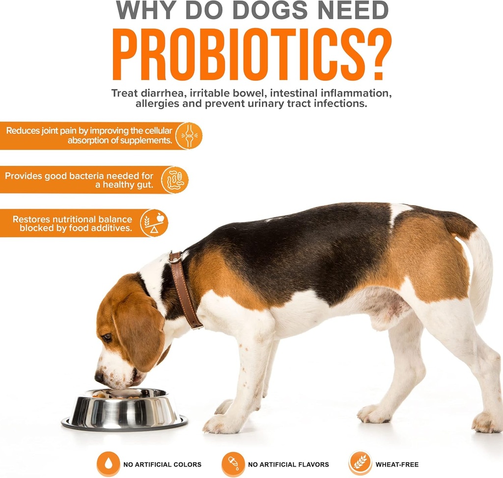 turkey-tail-mushroom-for-dogs-immune-sup-6.jpg