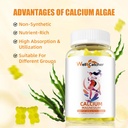 calcium-magnesium-gummies-adults-kids----5.jpg