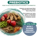 vital-planet-vital-flora-men-55-daily-pr-5.jpg