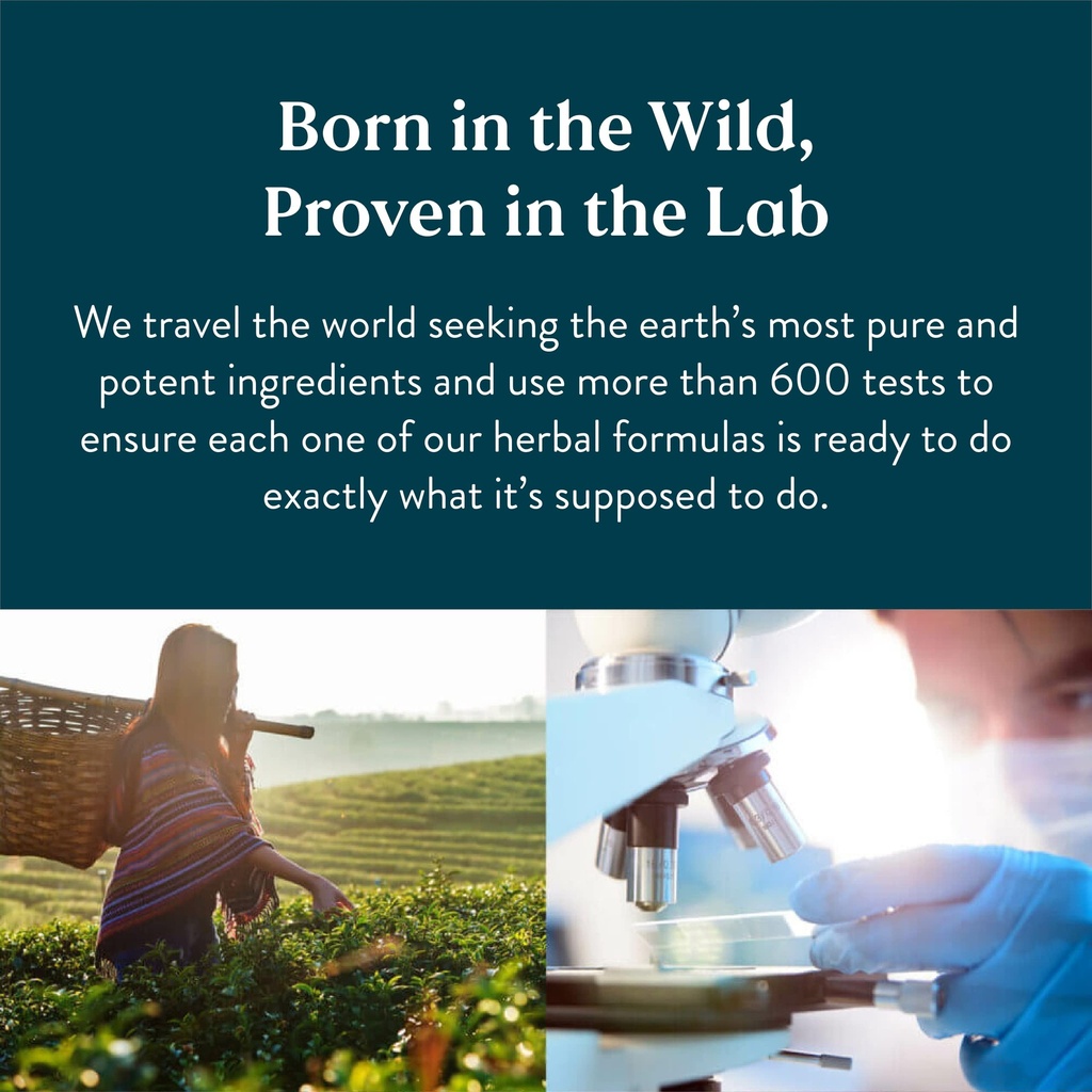 nature-s-sunshine-saw-palmetto-100-capsu-2.jpg