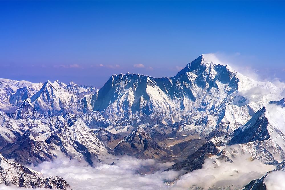 antler-farms-100-pure-primavie-shilajit--3.jpg