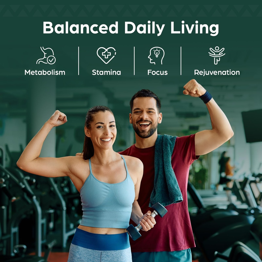 30-000-mg-shilajit-tablets-shilajit-hima-4.jpg