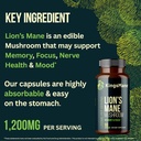 kingsmaneTM-organic-lions-mane-mushroom--3.jpg