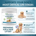 folate-for-dogs-to-promote-cardiovascula-5.jpg