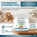 folate-for-dogs-to-promote-cardiovascula-6.jpg