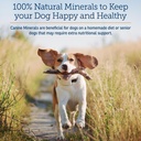 rx-vitamins-canine-minerals-essential-mi-2.jpg