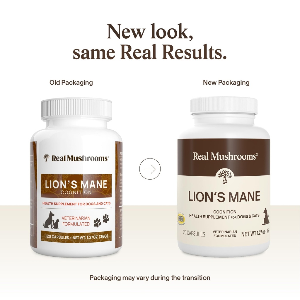 real-mushrooms-lion-s-mane-pet-mushroom--2.jpg