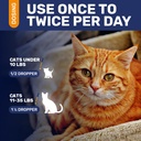 antibiotics-for-cats-in-drops-at-respira-5.jpg