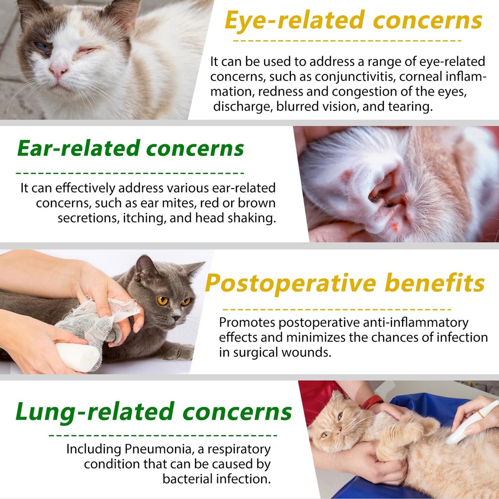 antibiotics-for-cats-natural-antibiotic--5.jpg