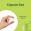 bestvite-bioperine-10mg-240-vegetarian-c-4.jpg