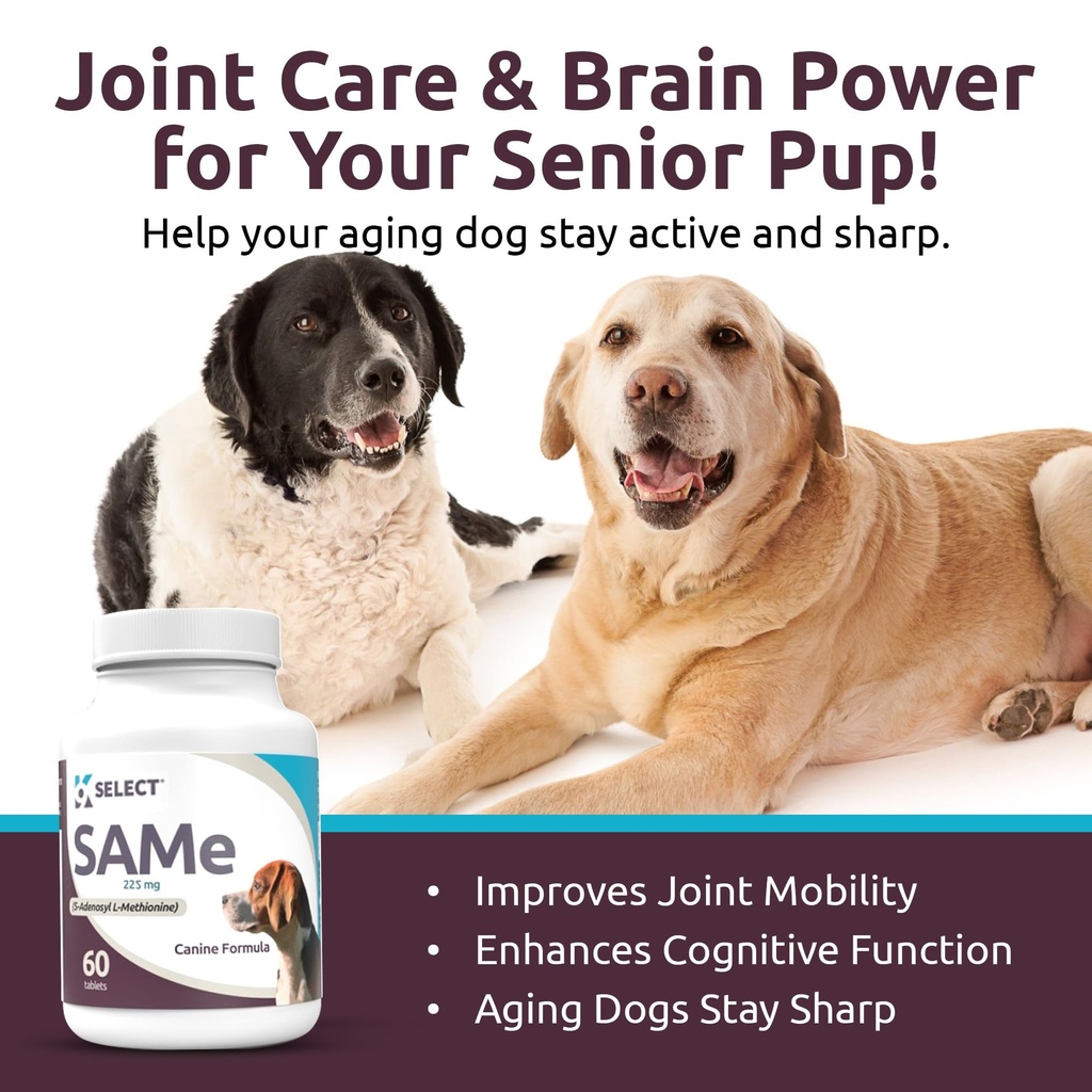 k9-select-sam-e-for-dogs-225mg-60-tablet-3.jpg