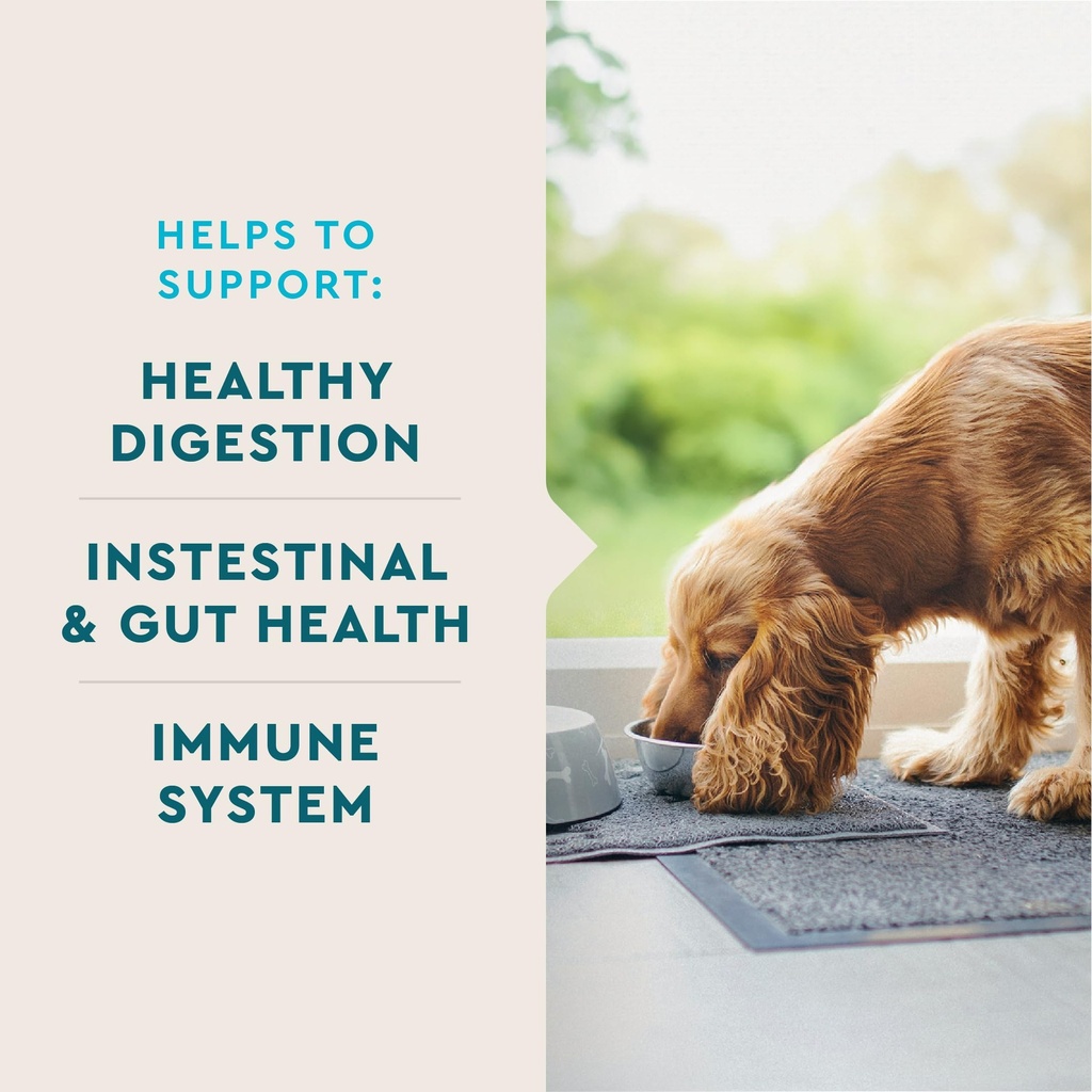 vetiq-probiotic-supplement-for-dogs-dige-2.jpg