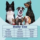 probiotics-for-dogs-dog-probiotics-and-d-5.jpg
