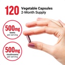 force-factor-beetroot-mushrooms-suppleme-3.jpg