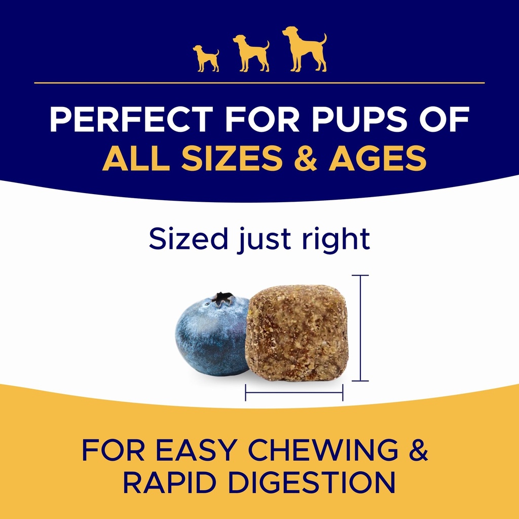 omega-3-fish-oil-for-dogs-180-ct-skin-co-6.jpg