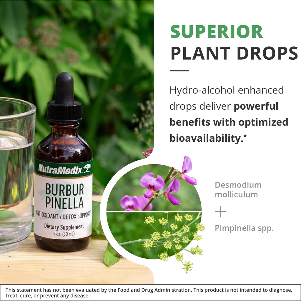 nutramedix-burbur-pinella-brain-health-s-5.jpg