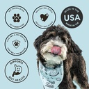 the-pets-table-probiotic-soft-chews-duck-3.jpg