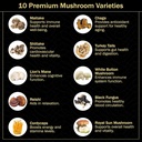 aamatec-life-mushroom-gummies-for-adults-3.jpg