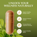 jiva-botanicals-premium-shilajit-supplem-2.jpg