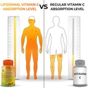 antioxidant-immunity-support-bundle---li-3.jpg