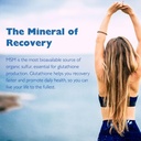 kala-health-msmpure-advanced-joint-suppo-5.jpg