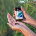 motherlove-more-milk-moringa-60-liquid-c-4.jpg