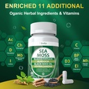 fat-burner-for-men-women-sea-moss-capsul-3.jpg