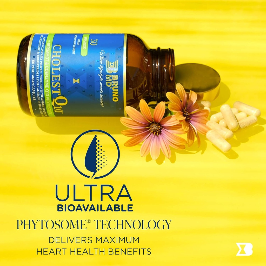 cholestq10-supplement-supports-hdl-chole-3.jpg
