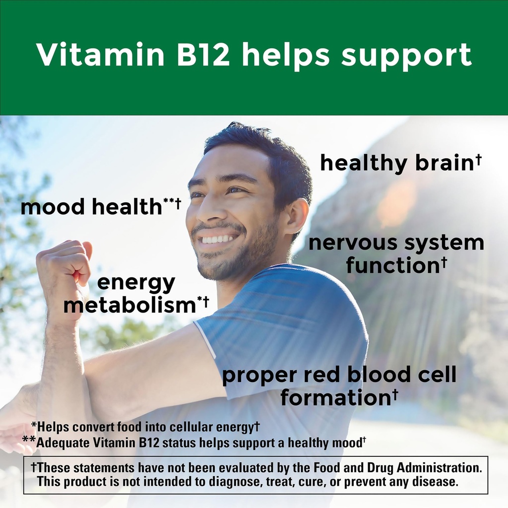 nature-made-vitamin-b12-500-mcg-dietary--3.jpg
