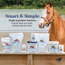 smartequine-smart-simple-vitamin-e-pelle-6.jpg