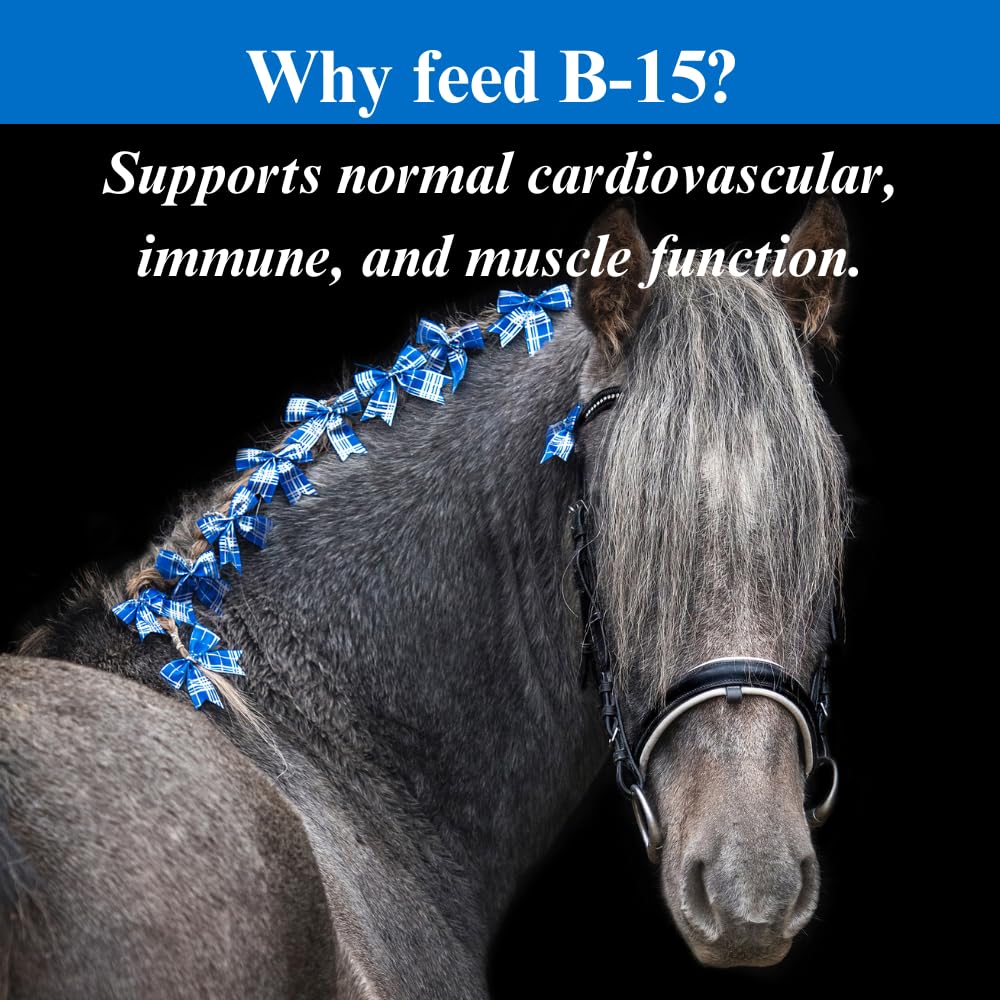 su-per-b-15-vitamin-supplement-for-horse-5.jpg