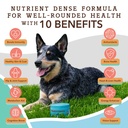 natural-dog-company-dog-supplements-for--4.jpg
