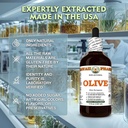 olive-olea-europaea-dry-leaf-glycerite-a-4.jpg
