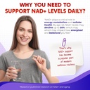 nad-trans-resveratrol-berberine-querceti-5.jpg