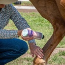 equiderma-2-pack-horse-skin-lotion-with--3.jpg
