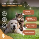scoot-stopper-for-dogs-cats-natural-anal-5.jpg