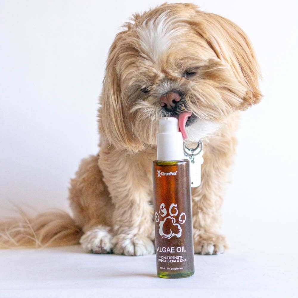 omega-3-for-dogs-skin-and-coat-supplemen-4.jpg