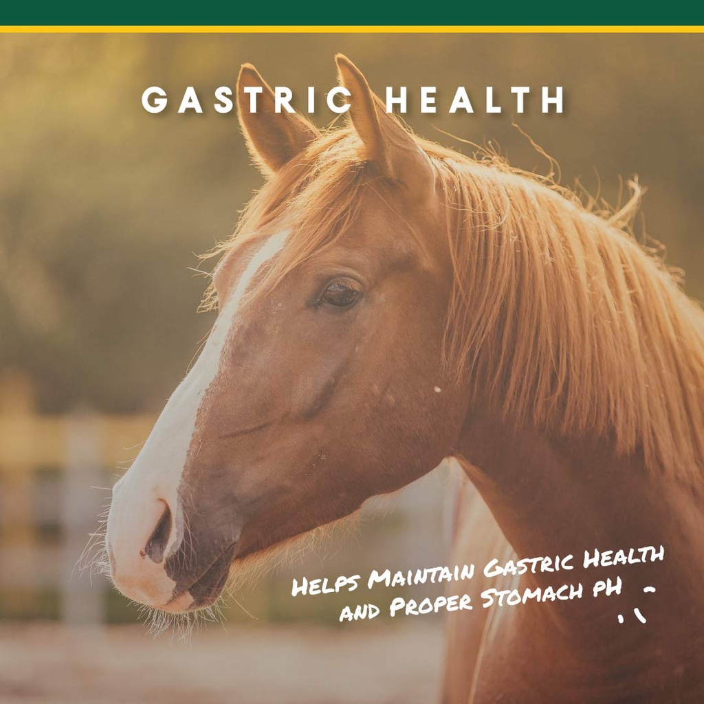 corta-flx-u-gard-pellets-for-horses-dige-2.jpg