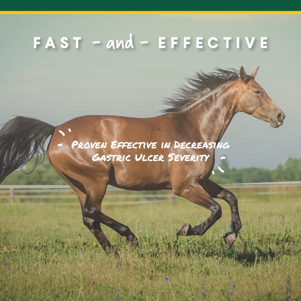 corta-flx-u-gard-pellets-for-horses-dige-4.jpg