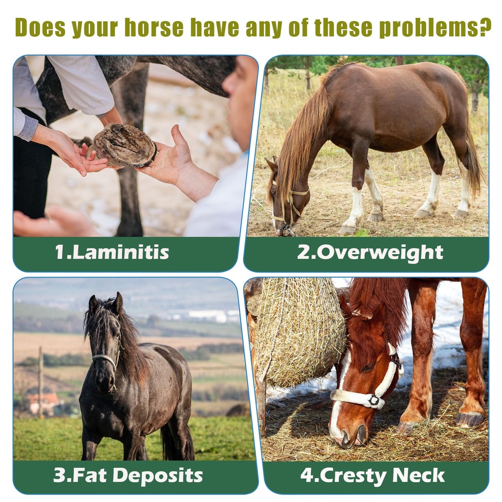 insulin-resistance-supplement-for-horses-3.jpg