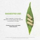 secrets-of-the-tribe-agrimony-120-capsul-2.jpg